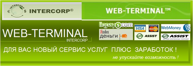 WEB - terminal